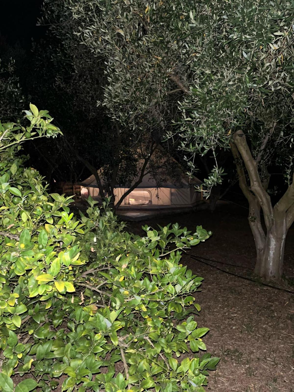Eco Glamping With Pool Between Nafplio And Argos Exterior foto